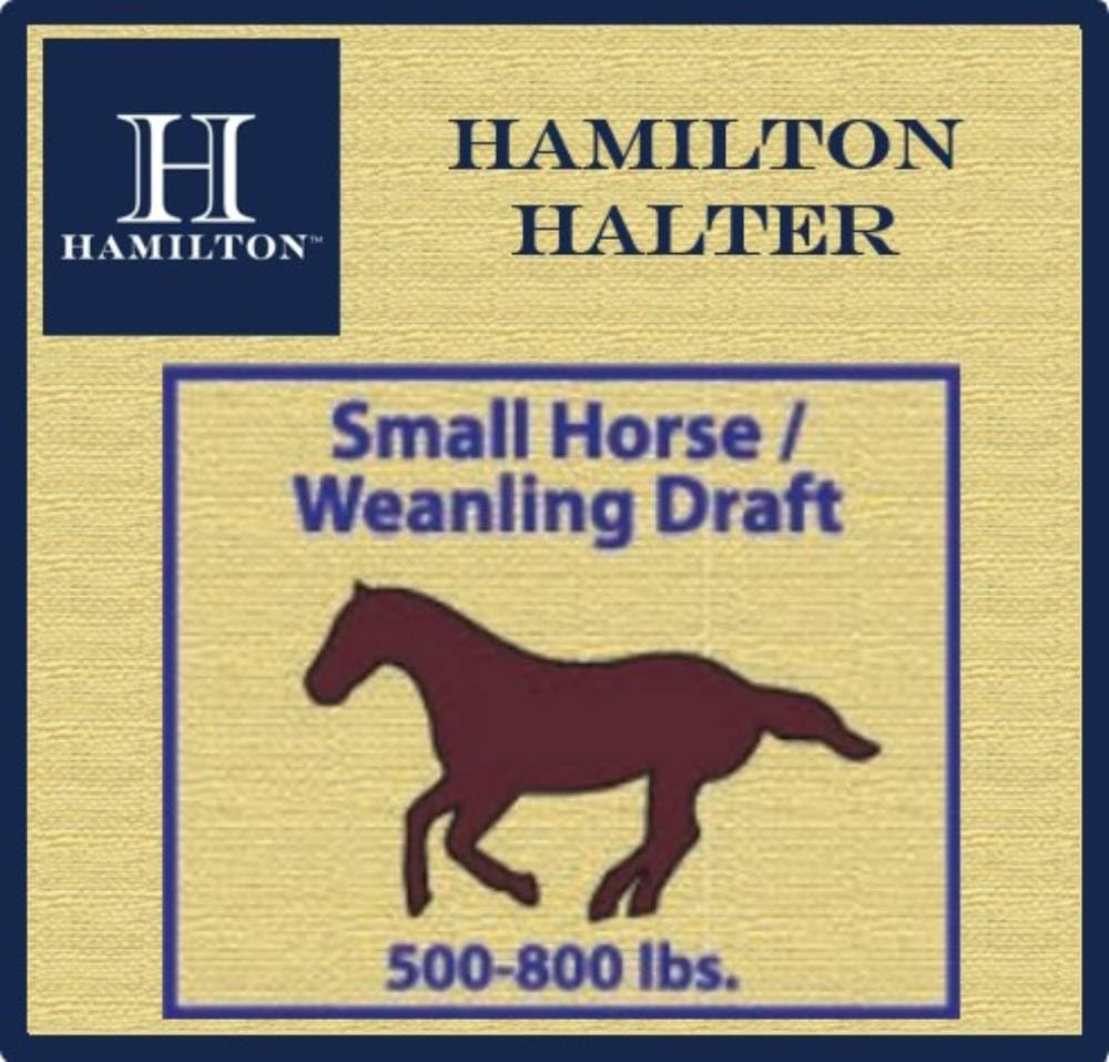 View 4