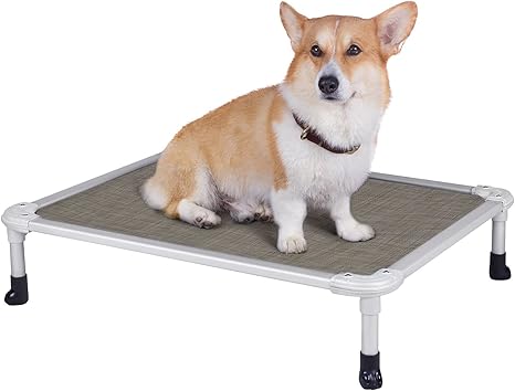 amazon chew proof dog bed