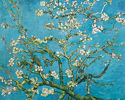 Amandier En Fleurs Van Gogh Analyse