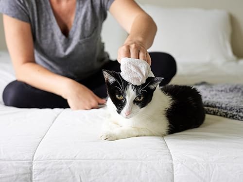 Miniatura 23 de Pet Parents® Pet WiPees™ - Toallitas multiusos para perros + piel y pelaje para mascotas, toallitas para perros, toallitas para perros y cachorros