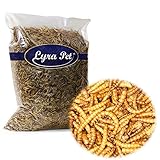 mehlwürmer für hühner Lyra Pet Lyra Pet® 2 kg Mehlwürmer 2000 g getrocknet Futter für Fische Nager Vögel Igel Reptilien