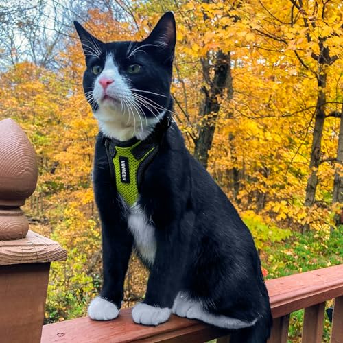Image of Voyager Escape-Proof Step-in Lock Cat Harness & 5ft Neoprene-Handle Leash Set All-Weather Mesh with Reflective Stitching for Small to Large Cats by Best Pet Supplies, Lime Green /Black Trim, S