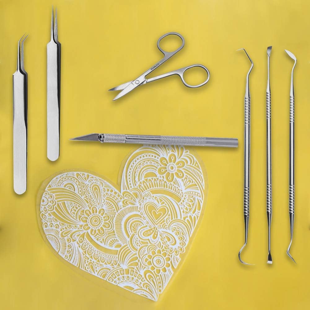 BUSOHA Weeding Tools for Vinyl,8 Pcs Stainless Steel Weeding Paper Craft Tool Kit with Case for Weeding Vinyl,Silhouettes, Cameos,Spatula Tweezers Fine Tweezers Lettering Scraper Hook Scissors