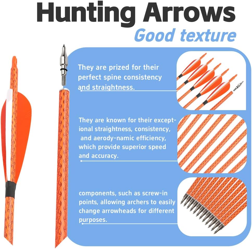 12PCS 30 Inch 500 Spine Carbon Hunting & Target Practice Arrows - Removable Tips for Compound, Recurve & Long Bows