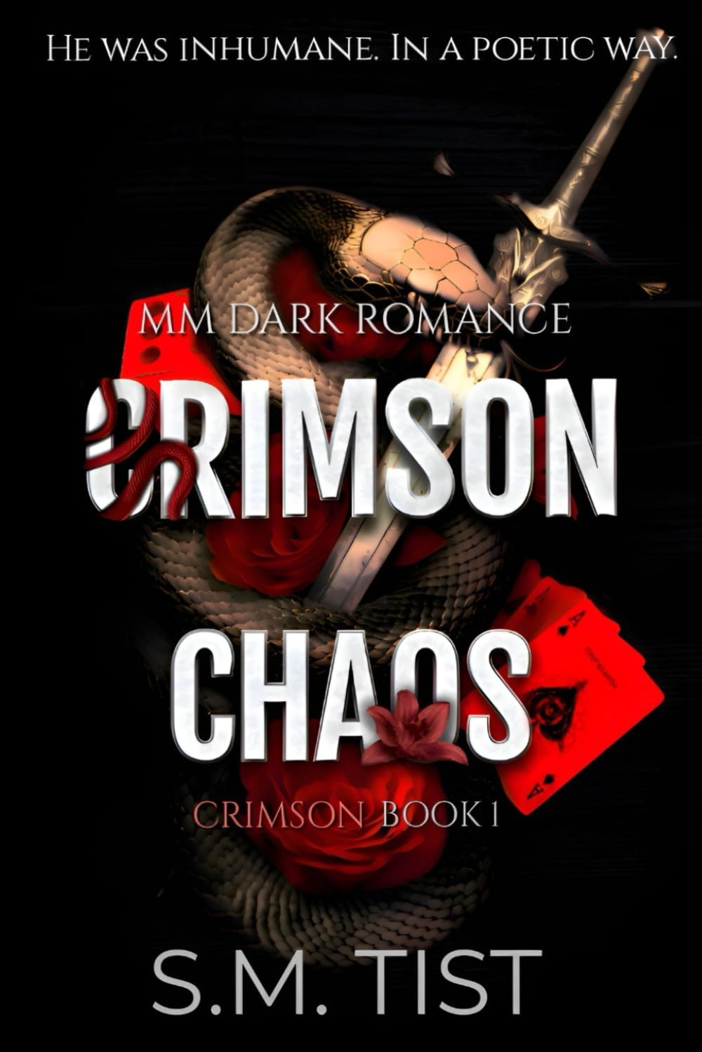 Crimson Chaos: MM Dark College Romance: 1 (CRIMSON SERIES)