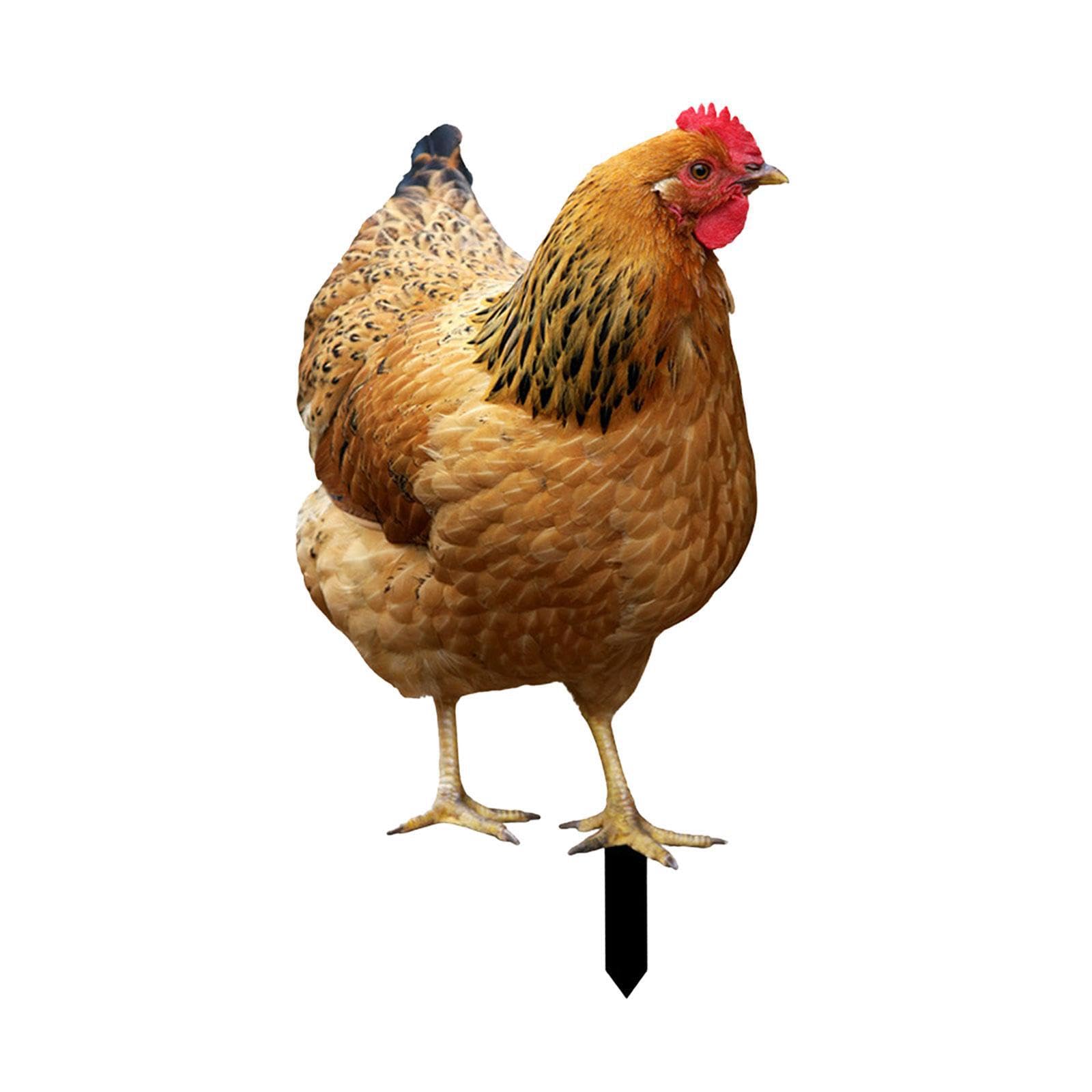 TWISAXC Chicken Statue Decorative Garden Stake Acrylic Sign Lifelike Animal Yard Art Decor Outdoor Landscape Ornament Realistic Hen Yard Sign Lifelike for Creative Funny, Brown, 31.5x17.4cm