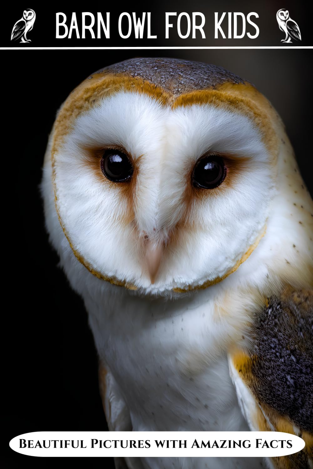 Barn Owl for Kids: Beautiful Pictures with Amazing Facts