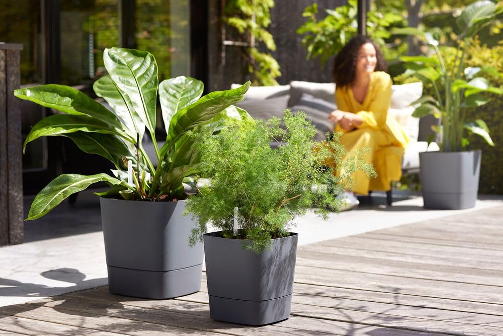 Elho Greensense Aqua Care Square 38 - Macetero por Interior y Exterior - 100% Plástico Reciclado - Ø 38.0 x H 38.9 cm - Charcoal Grey