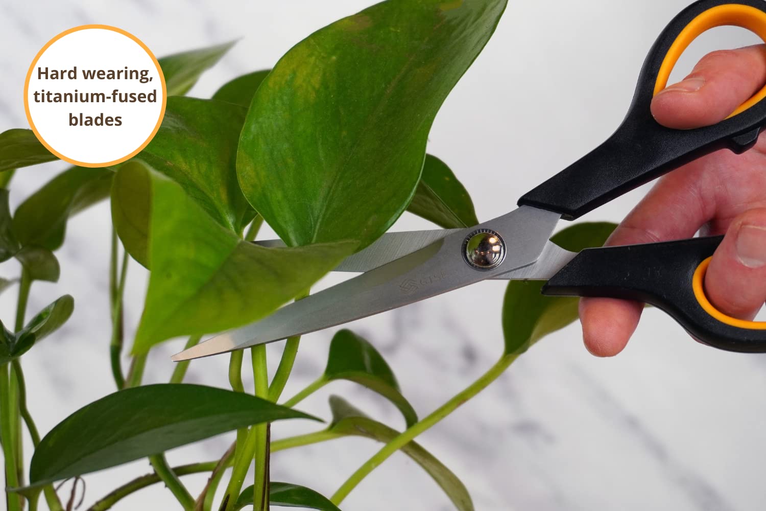 Ciseaux à Lame Titane 21 Cm GTSE - Poignées Ergonomiques Ambidextres Pour Cuisine, Bricolage, Papeterie