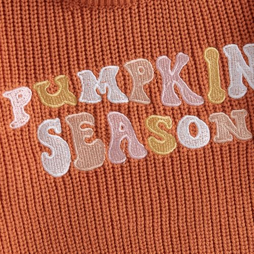 toddler knit sweater pullover blouse pumpkin sweater baby girl boy winter fall clothes