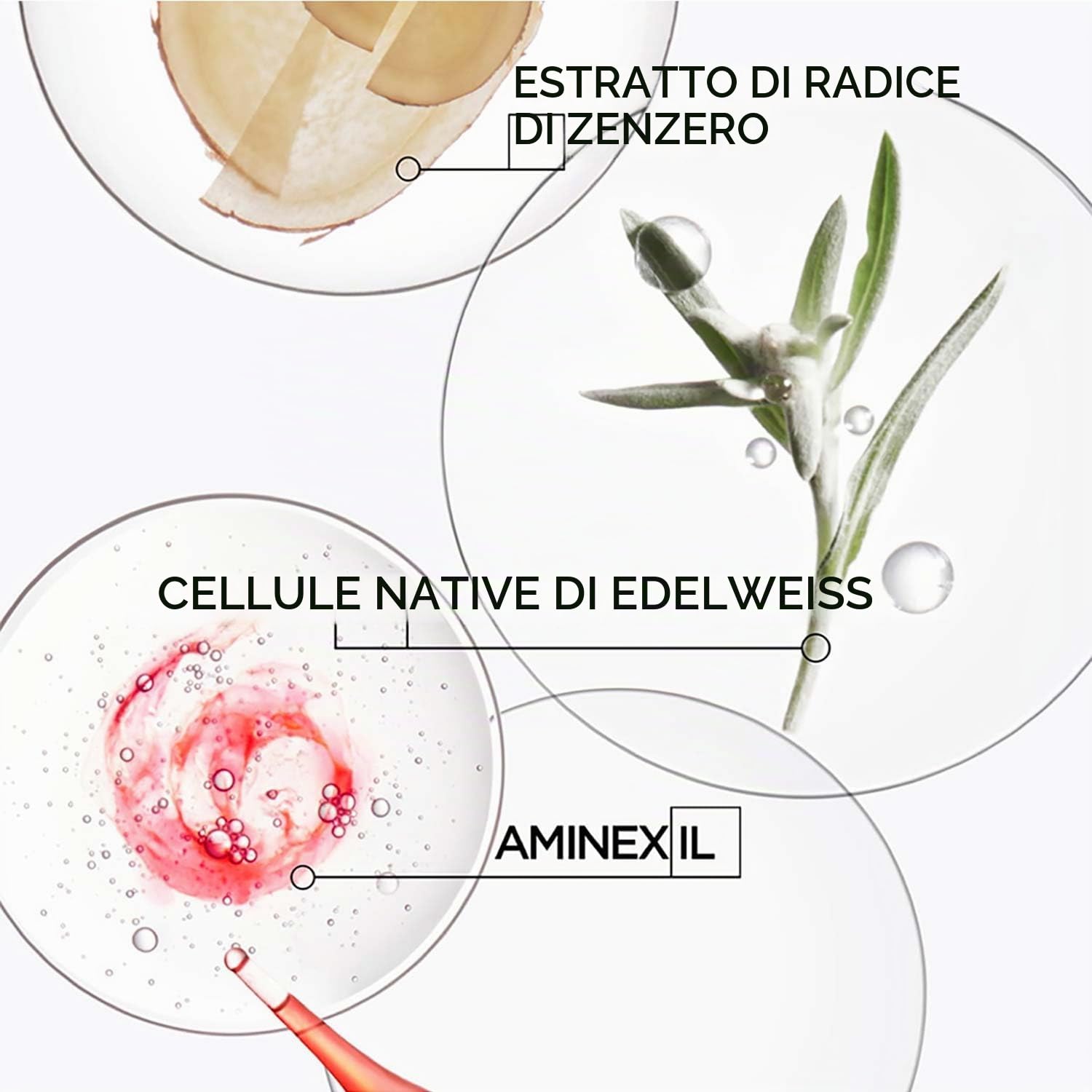 Kérastase, Genesis, Trattamento in Fiale Anti-Caduta & Anti-Rottura, Per Capelli Fragili, Anti-Chute Fortifiantes, Fiale 10x6 ml