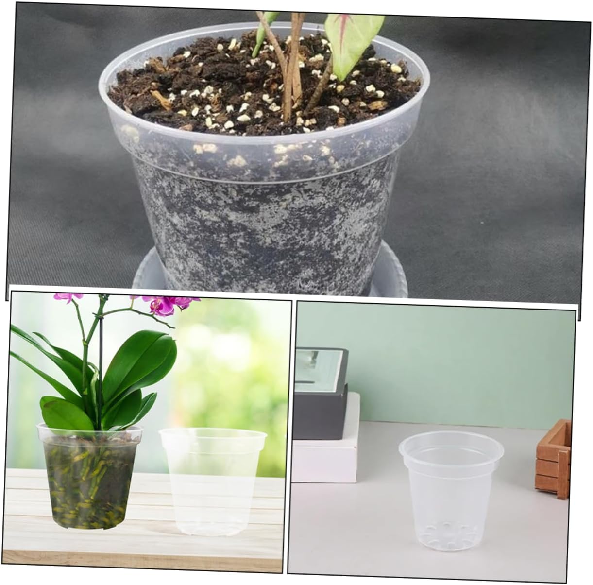 POPETPOP Nursery Pots Bulk 40pcs Plastic Pots with Holes 3 Inch Planters for Indoor Gardening