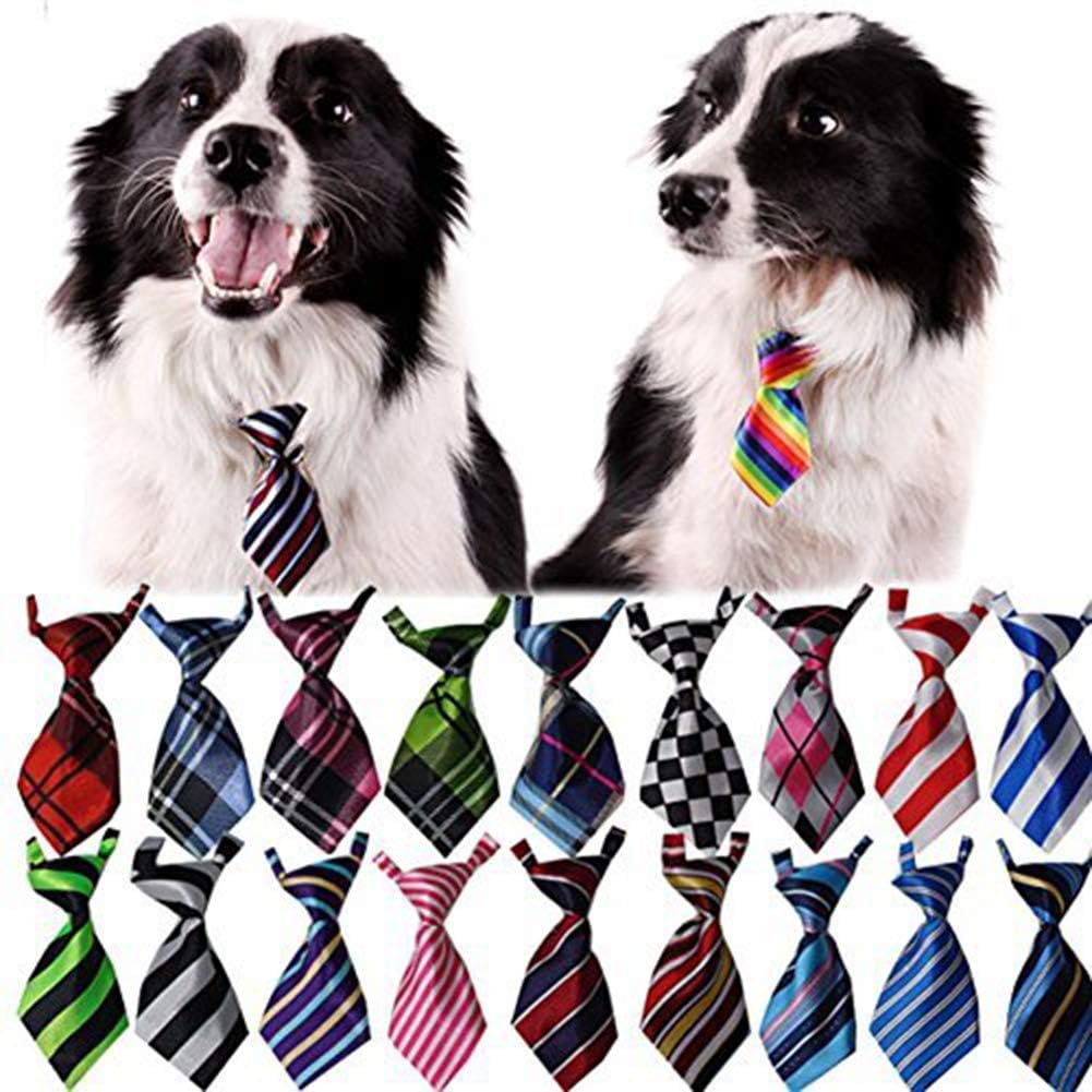 Tie for dogs Outlet