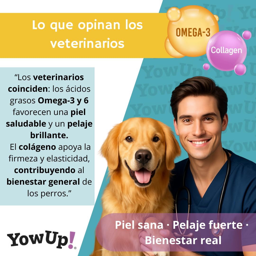 YowUp! Yogur para Perros Piel y Pelo | con Omega 3, 6 y Biotina | Pack Caja Display 10×115 g | Sin Lactosa, Sin Azúcares, Snack Funcional Saludable