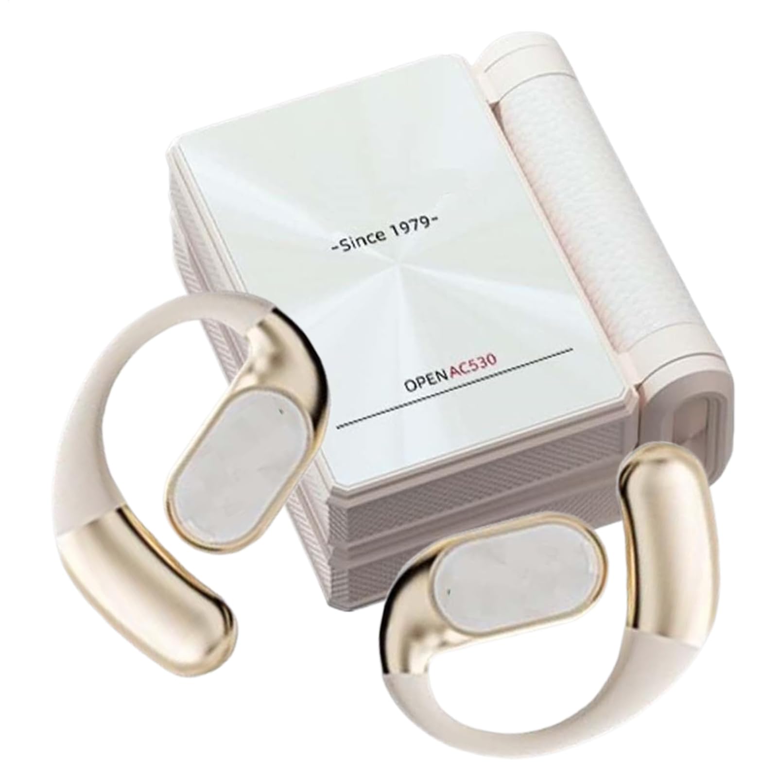 Auricolari Wireless Con Ganci Con Custodia Pieghevole Doppia | Auricolari Impermeabili Antisudore Con Cancellazione Del Rumore Per Casa Esterno Studio Corsa Sport Allenamento Palestra