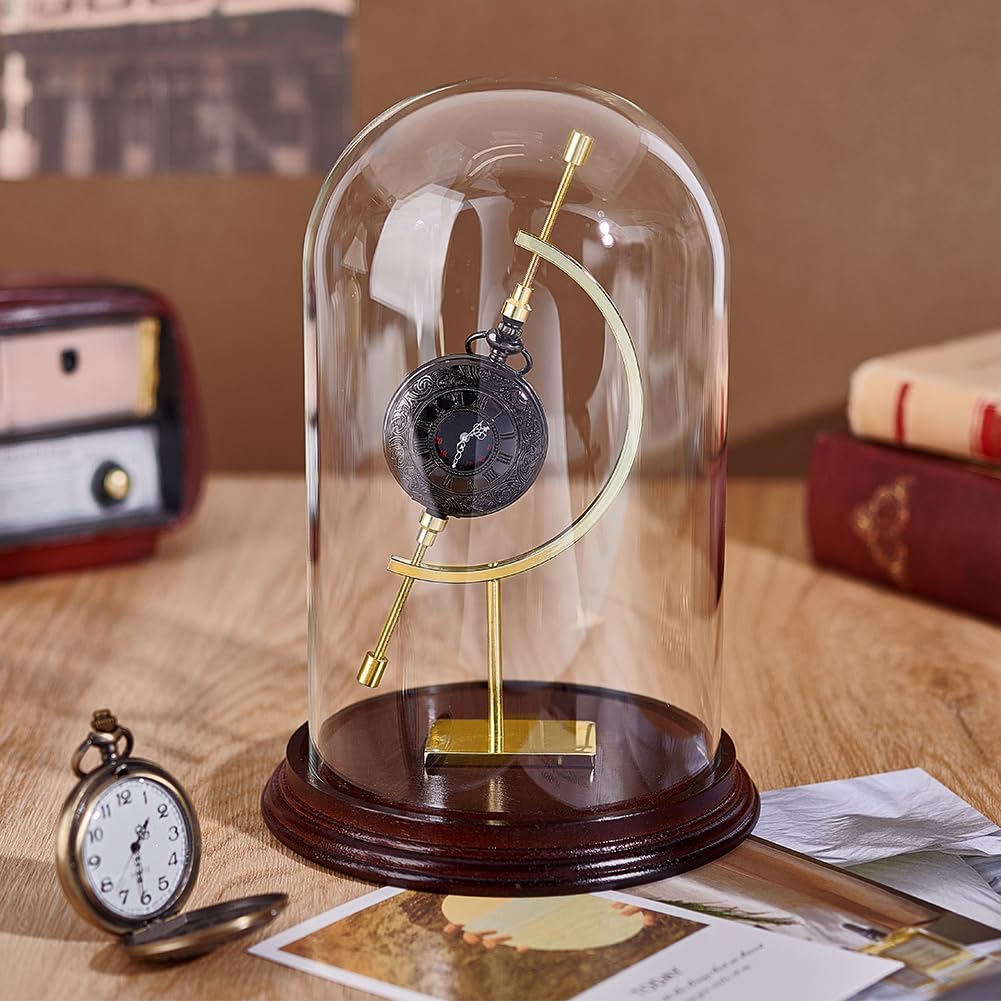 PH PandaHall 21.5x14.7cm Vitrine de Montre de Poche Cloche Dôme en Verre avec Support Sphérique et Base en Bois pour Plantes Médailles Photos Ornements