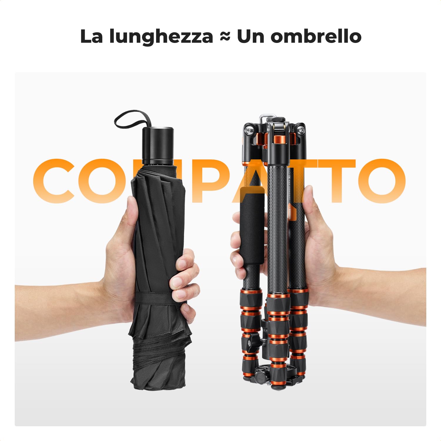 Genesis Base C3 Carbon – Treppiede In Carbonio Con Testa A Sfera BH-34 – Portata 15 Kg – Altezza Max 171 Cm