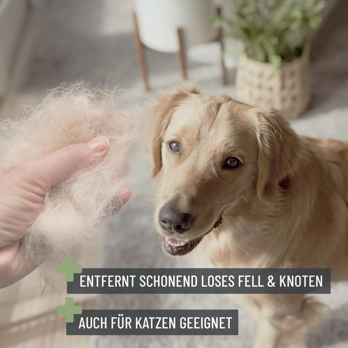 ReaVET Spazzola per cani, spazzola per gatti, spazzola per cani e gatti, taglia grande, rimuove delicatamente sottopelo, infeltrimenti e nodi, spazzole per animali domestici