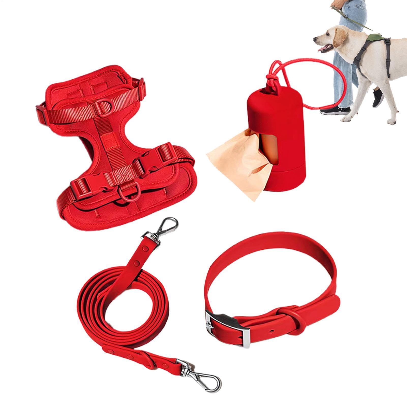 Hundeleinen-Set, Hundegeschirr-Set für kleine Hunde Halsbänder Leinen | Wasserdichtes Hundegeschirr-Set zum , Joggen, Spazierengehen, Wandern, Trekking, tägliche Bewegung im Fr