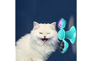 Interactive Windmill Cat Toys with Catnip: The Ultimate Indoor Entertainment for Your Feline Friend