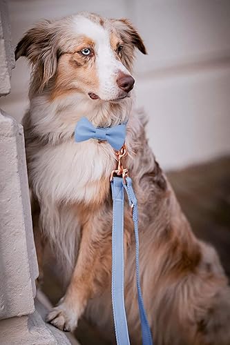 Miniatura 9 de Collar de cuero suave para perro, ajustable, lindo collar de pajarita fácil de limpiar con elegante hebilla de metal resistente de oro rosa para