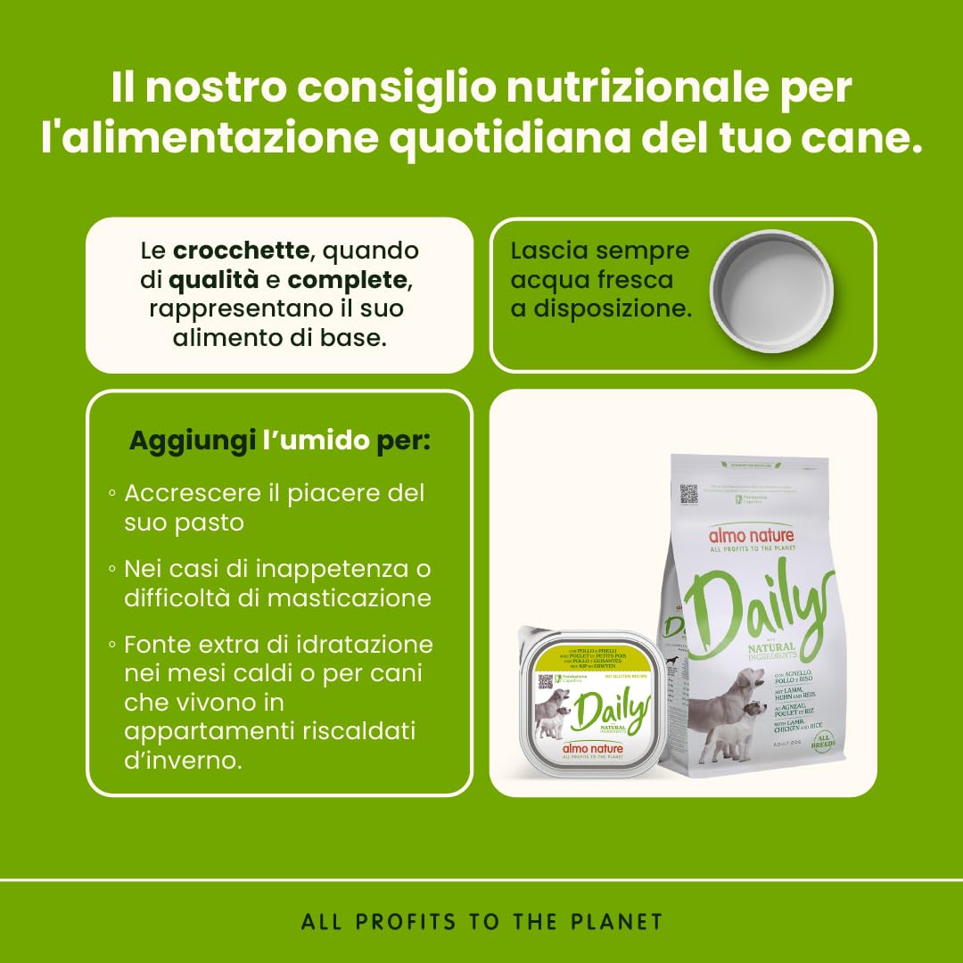 almo Nature Daily Dog Menu No Grain Paté, Cibo Umido per Cani, Pollo e Piselli, 300 g, Confezione da 9