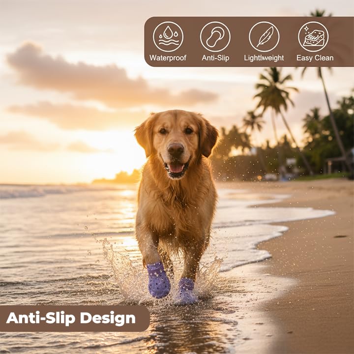 Image of Anti Skid Paw Protector Dog Boots for Hot Summer for Maltese | Waterproof Eva Pet Shoes Anti-Slip | Soft & Lightweight Dog Footwear - Size 7 - Purple