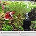 SunGrow 10-Gallon Sponge Filter, Nano Betta Fish Tank Water Filter, Small Sponge Filter Aquarium, Super Quiet Submersible Foam Filter, Ultra Quiet Aeration, Corner Filter for Breeding, Fry, & Shrimps