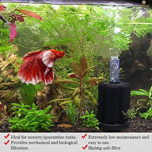 Image of SunGrow 10-Gallon Betta Sponge Filter, Underwater Center Aquarium Filter, Attach it to Air Pump (Not Included) to Run, Works for Tropical Fish & Breeder Aquarium, Perfect for Fry & Small Fish