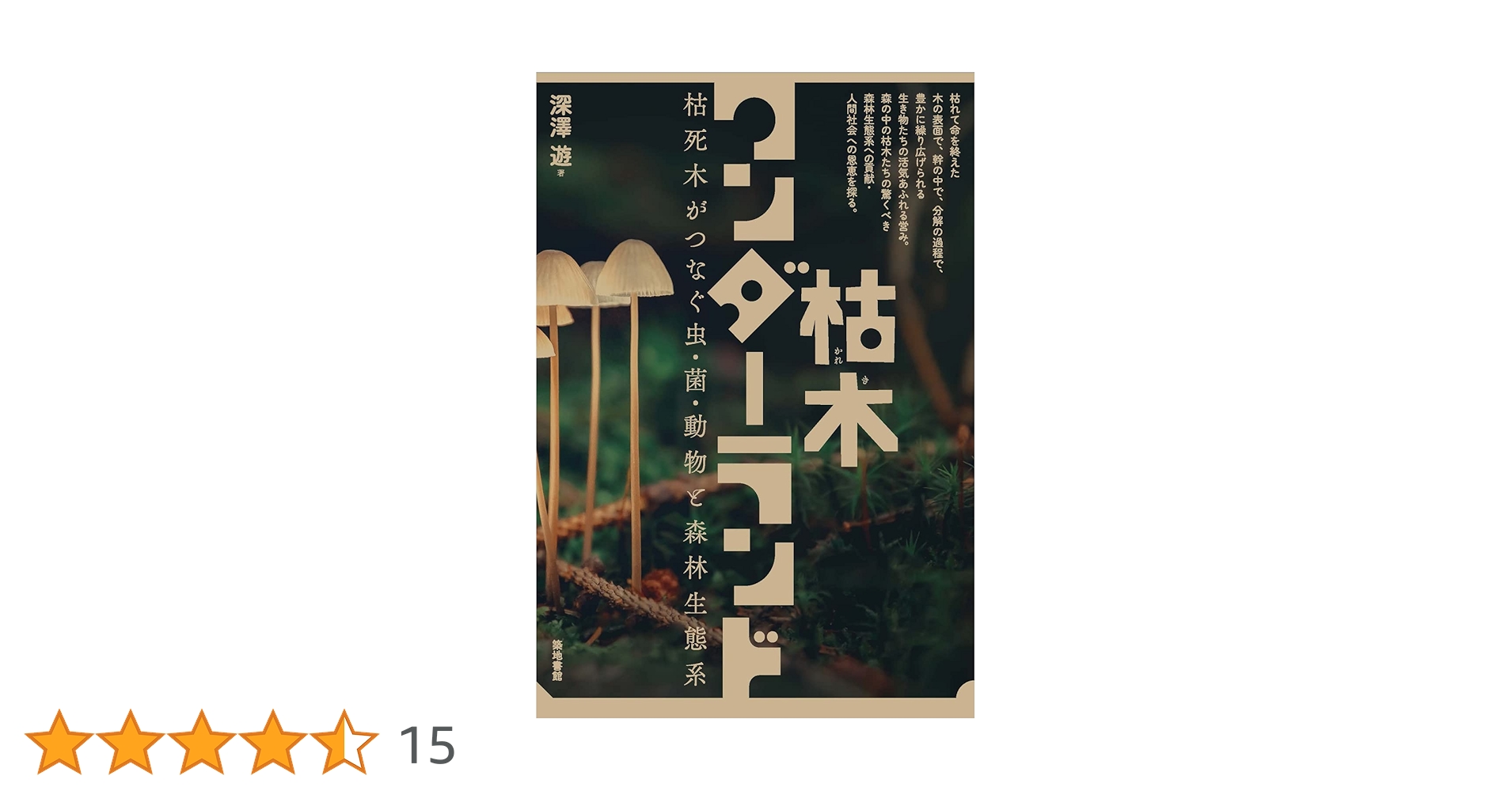 枯れ木 ドライ盆栽【新緑】 DRY BONSAI | DRY BONSAI｜ドライ盆栽｜枯れ盆栽