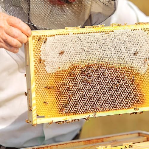 Miniatura 6 de Forynxhwin 30 Piezas Placas De Cera De Abejas, 13 X 9 Cm Hojas De Cera De Abejas, Cera De Abeja Natural 100 , Laminas De Cera De Abeja Para Hacer Velas Manualidades
