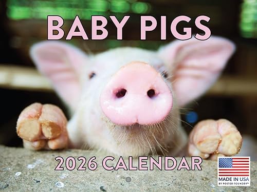 Vista 42 de Calendario alpaca 2026, calendario mensual de pared de 12 meses Hecho en Estados Unidos. Red Pandas