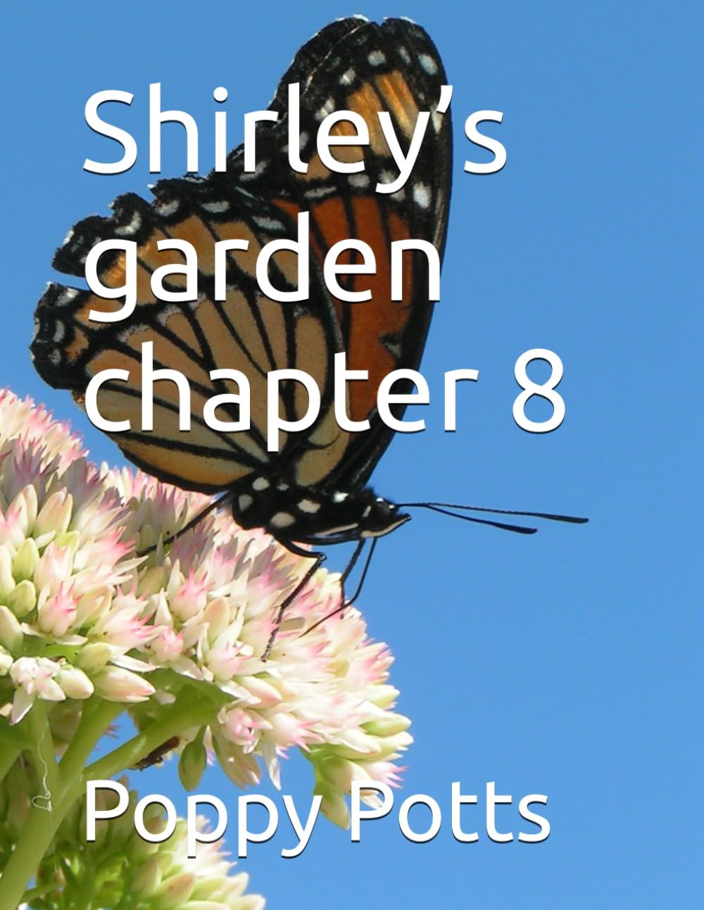 Shirley’s garden chapter 8 (Shirley’s garden billy and Benny’s adventures , by poppy Potts)