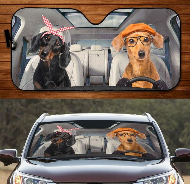 Pare-soleil Pliable Pour Pare-brise Taille L (140x70 Cm) - Protection Solaire Intérieure Voiture, Réfléchissant, Avec Ventouses