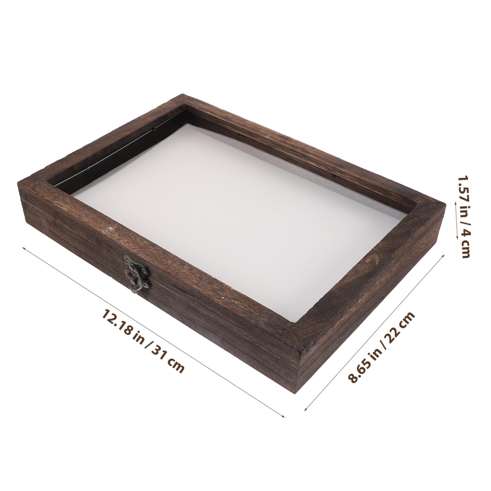 Garneck Scatola di Legno per Insetti con Coperchio Trasparente, Teca Entomologica per Farfalle, Protezione Dalla Polvere e Decorazione da Scrivania Stile Casuale