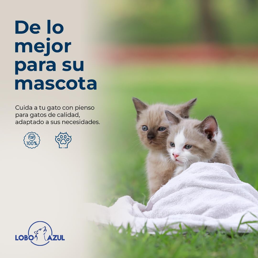 Pienso para Gatos Kitten Sin Gluten - Comida Natural para Gatitos Bebés - con Pollo, Pavo y Salmón - 15kg - Lobo Azul Kitten
