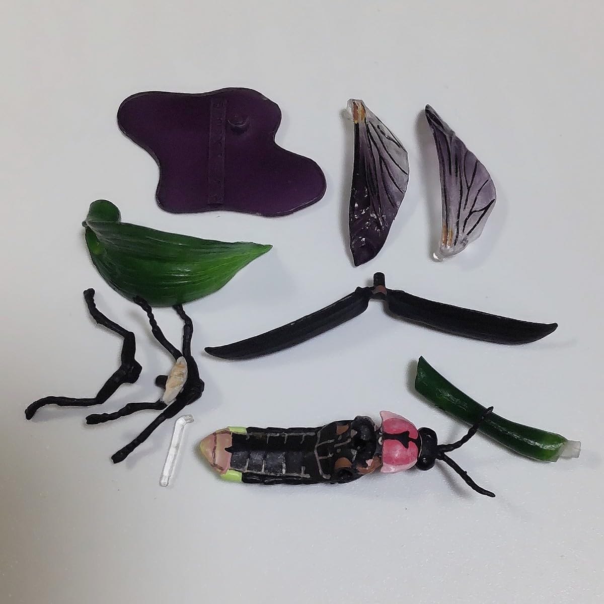 Amazon.co.jp: ゲンジボタル 海洋堂 週刊日本の天然記念物