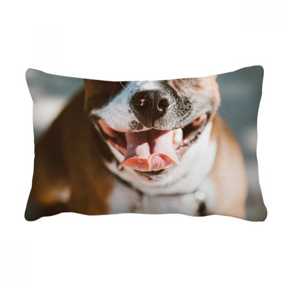 Coussin bouledogue multicolore au design original et grand format