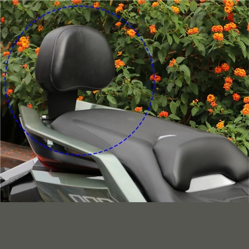Schienale Per ZONTES 368G 368 G 368-G Moto Posteriore Passeggero Schienale Cuscino Del Sedile Soggiorno Protezione Pad Accessori