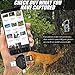 Trail Camera SD Card Viewer for iPhone/iPad/Android/Computer/Mac,4 in 1 SD/Micro SD Card Reader&Trail Camera Viewer to View Wildlife Game Camera Hunting Photos/Videos on Phone by LEEGLOAD