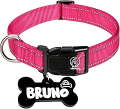 PawPro Reflective Fuchsia Nylon Dog Collar with Custom Engraved Bone ID Tag- Adjustable for Medium Dogs (15-21 inch) - Durable, Safe & Comfortable (Hot Pink-Medium)