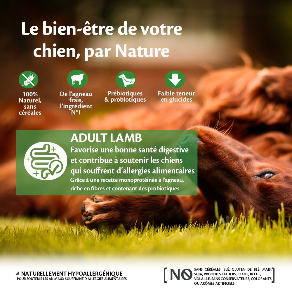 WELLNESS CORE Original met kip voor grote honden WELLNESS CORE Original met kip voor grote honden