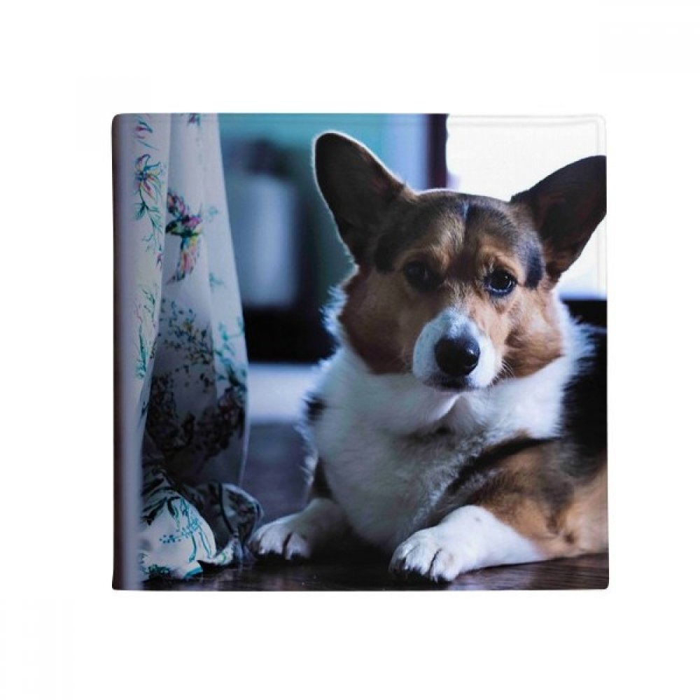 Tapis de sol Corgi 50x50cm antidérapant multicolore pour salle de bain