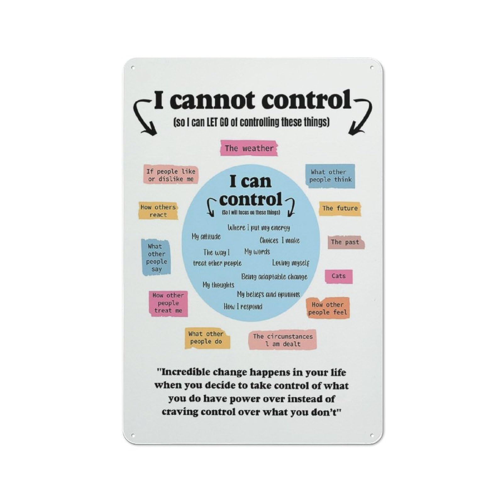 Yelacaay Mental Health Tin Sign, What I Can And Cannot Control, Positive Art, Metal Sign Plaque Poster 8X12 Inch