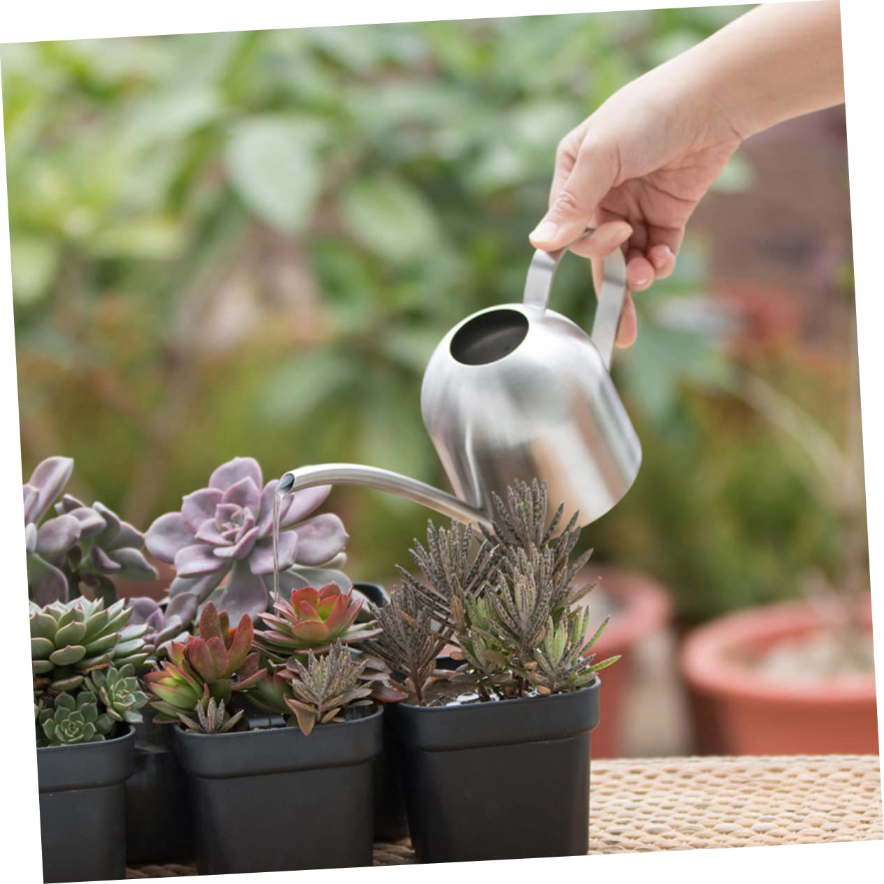 Konewka, Konewka do roślin ogrodowych, ozdobna butelka na wodę, metalowe butelki na wodę, Konewka do roślin wiszących, zraszacz, konewka do bonsai, wylewka do puszki na wodę, butelka ze spryskiwaczem,