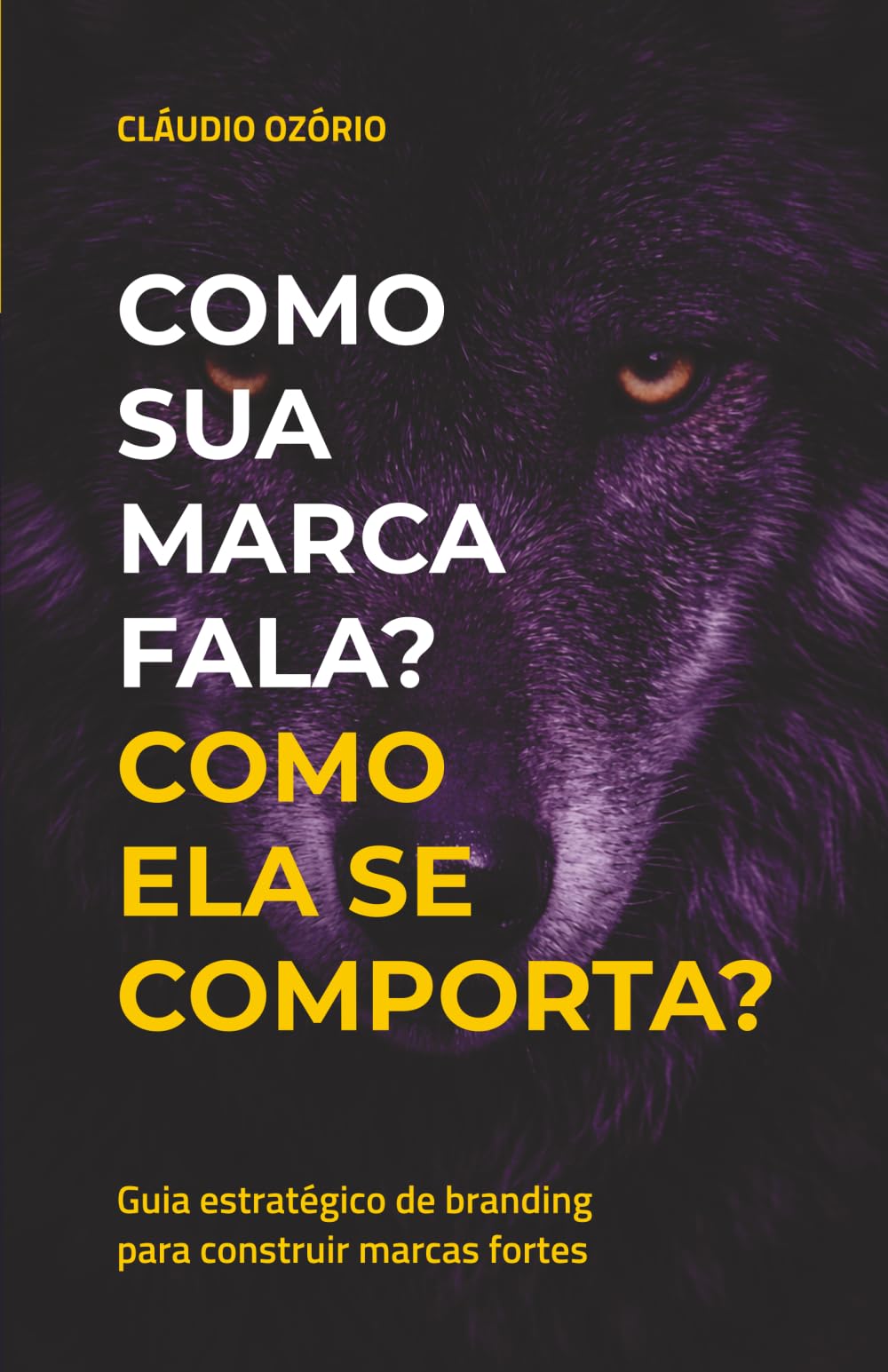 Como sua marca fala? Como ela se comporta?: Guia estratégico de branding para construir marcas fortes