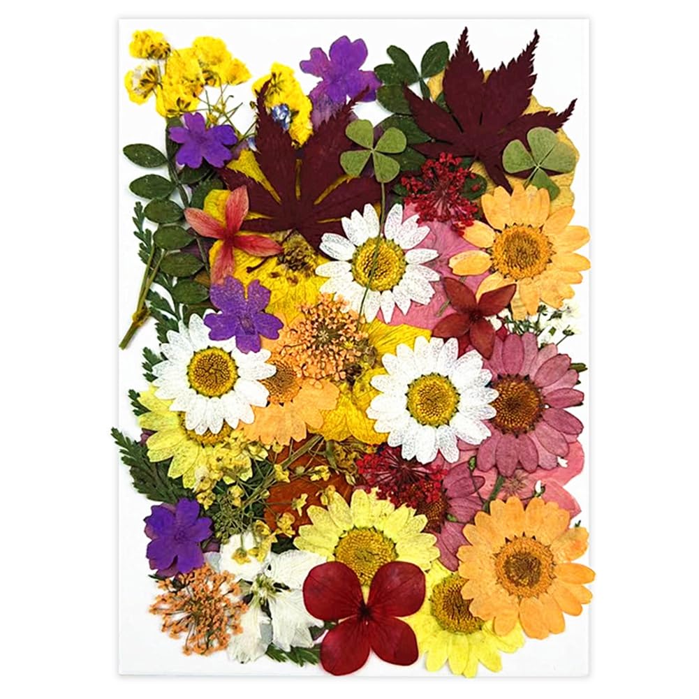 50 pcs Colorful Flowers for Resin Model, Real Pressed Flowers Dry Leaves Bulk Natural Herbs Kit for Scrapbooking DIY Jewelry, Candle, Soap Making, Nails Decor, Greeting Making