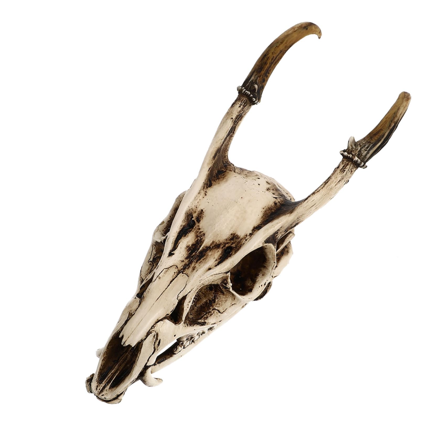 Crâne De Chèvre Avec Illustration Vectorielle De Fleurs | Vecteur Premium