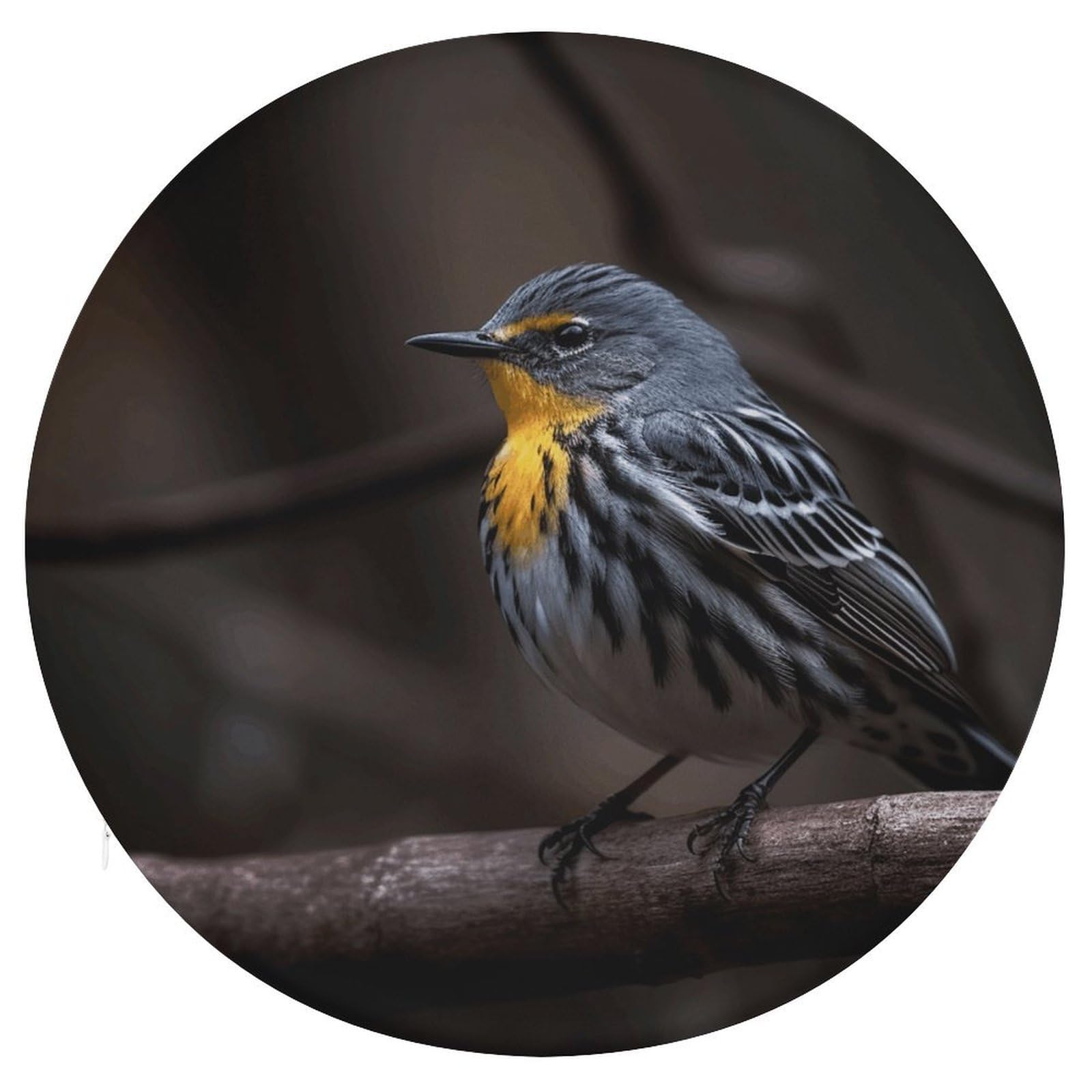 Wsoihfec Style Bird Sitting On Branch Seat Cushion Round Chair Pad