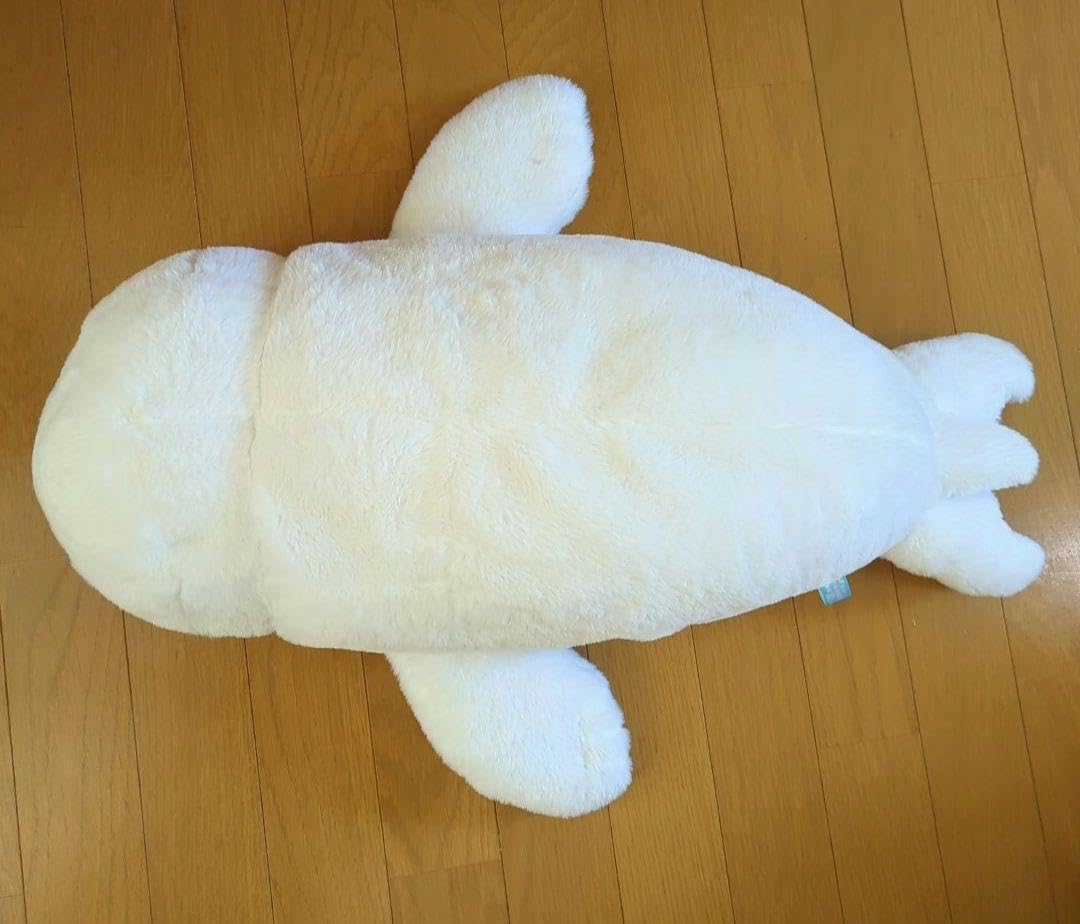 Amazon.co.jp: ほわほわアザラシちゃん すいみんちゃん☆ぬいぐるみ